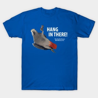 CB Hang in There T-Shirt